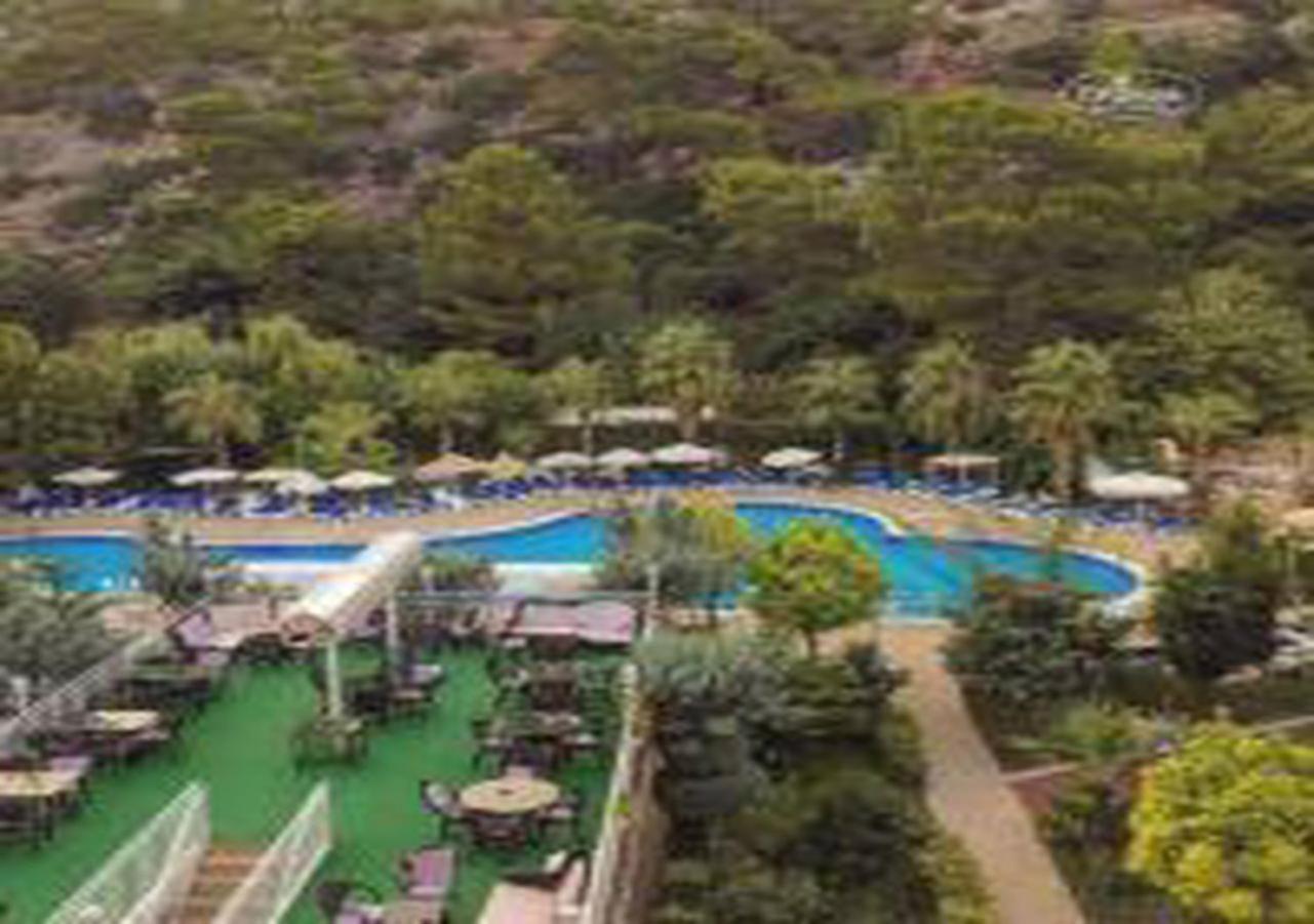 Miramor Hotel & Spa アンタルヤ エクステリア 写真 The photo shows a scenic view of a resort area featuring a large swimming pool surrounded by lush greenery and trees. Sun loungers are arranged around the pool, and there are tables visible in a dining area. The pool has a curved shape and is complem